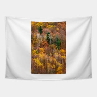 Autumn on Pieria mountains Tapestry