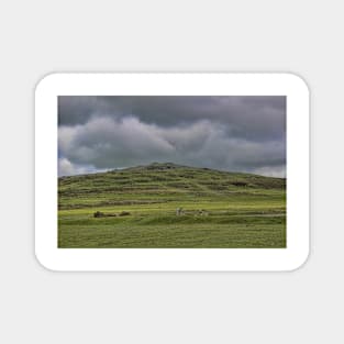 Cox Tor, Dartmoor, Devon, Magnet