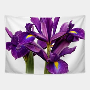 Elegant Dutch Iris Purple Sensation Tapestry