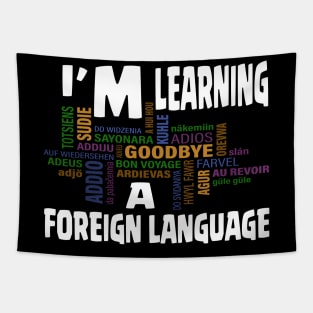 LEARNING FOREIGN LANGUAGE Tapestry