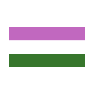 Genderqueer Flag T-Shirt