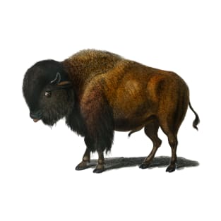 Vintage bison buffalo animal T-Shirt