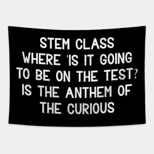 STEM class Where 'is it going to be on the test?' Tapestry