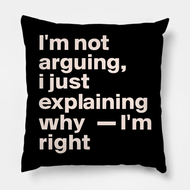 I'm not arguing  I just explaining why I'm right Pillow by NomiCrafts