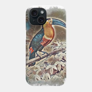 Toucan Beautiful Bird Jungle Forest Illustration Phone Case