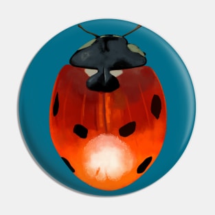 Ladybird Beetle Design Pin