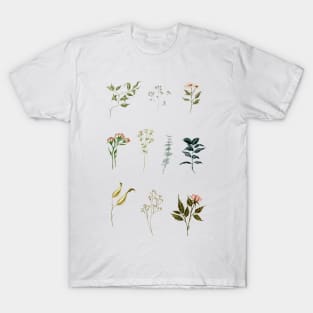 Women's Botanical Tshirt Plant Graphic Wild Flower Shirt Vintage