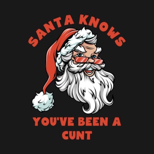 Santa Knows You've Been A Cunt T-Shirt