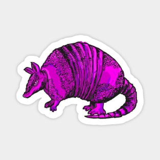 Purple Armadillo Magnet