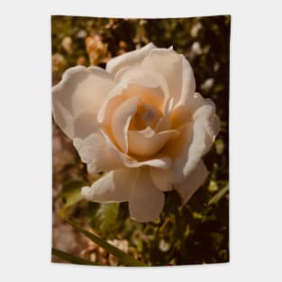 Seashell Rose Tapestry