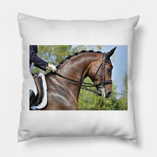 Dressage Pillow by Furtographic