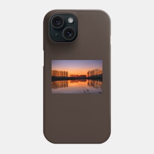 Naked trees Phone Case