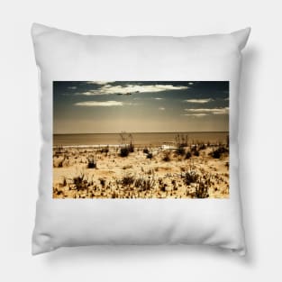 A Day At The Beach Pillow