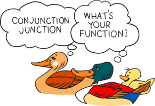 Conjunction Junction Ducks Magnet