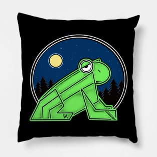 The moon and a frog... Pillow