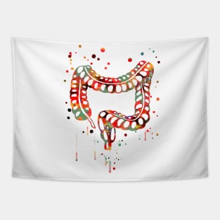 Lower gastrointestinal tract Tapestry