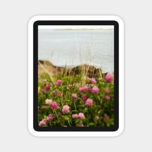 Clover By the Sea Magnet