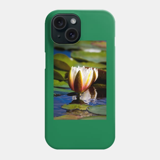 Water Lily Phone Case by Violaman