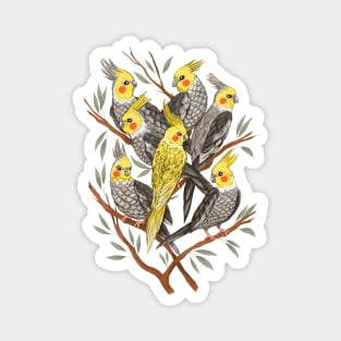 Cockatiel Fun Magnet