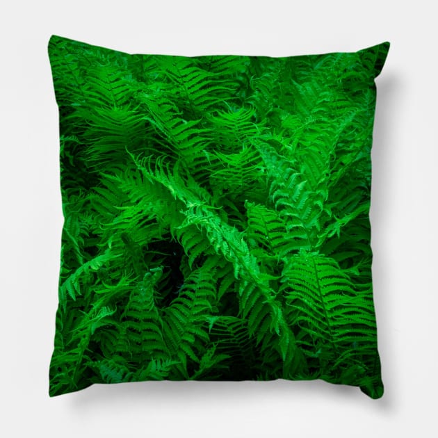 Rain Forest Pillow by NOMAD73