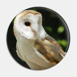 European Barn Owl Pin