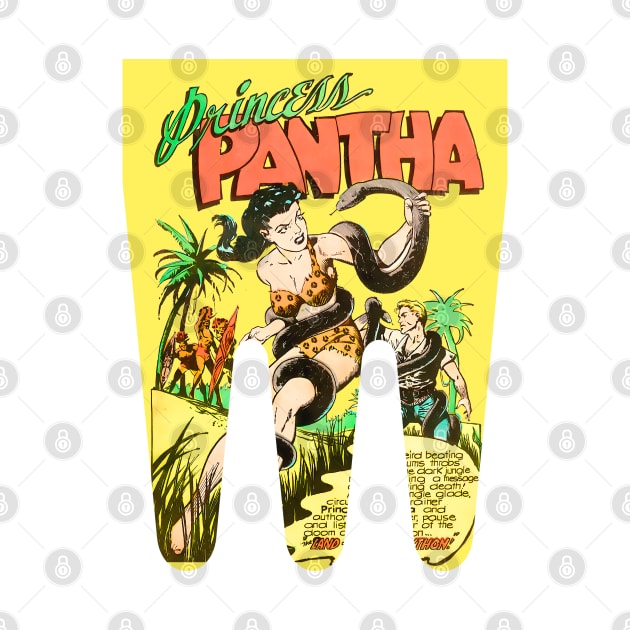 Princess Pantha Retro Vintage Comic Old Fantasy Funny Scifi Popart by REVISTANGO