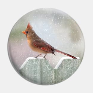 Female Cardinal Snowy Day Pin