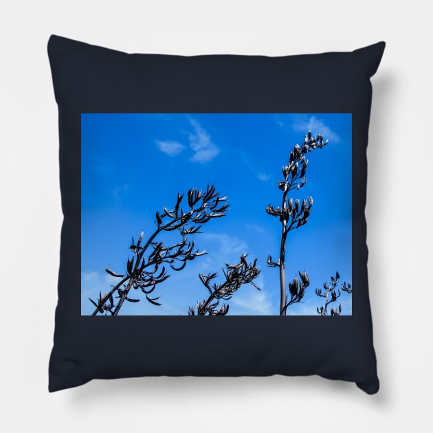 flax seed heads Pillow by sma1050