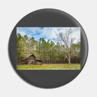 Abandoned Farm and Pecan Tree Pin