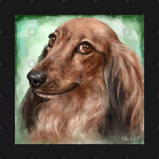 Painting of a Fluffy Dachshund with Brown Coat, on Green Background by ibadishi