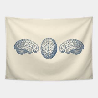 Human Brain - Triple View - Vintage Anatomy Tapestry