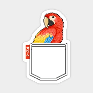 Cute Pocket Bird Pixel Parrot Magnet