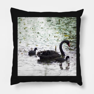 Black Swan and Cygnets Pillow