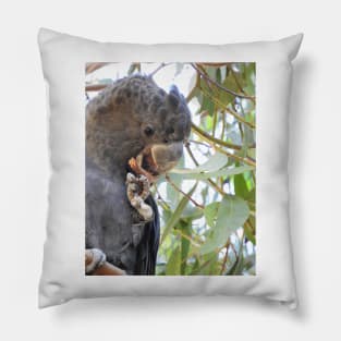 Black Cockatoo Pillow