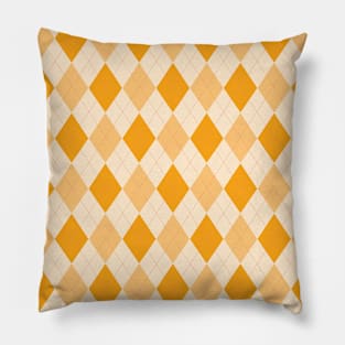 Colorful Design Pillow