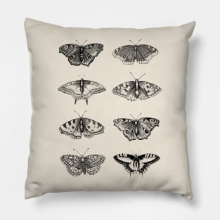 Dramabite Vintage butterflies scientific illustration Pillow