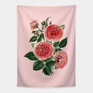 Pink Rose Flowers Botanical Illustration Tapestry