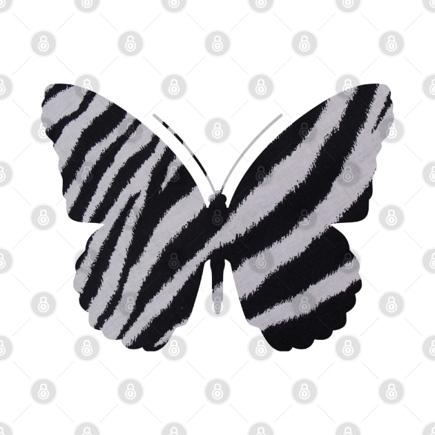 Black and White Zebra Butterfly by DesignsbyZazz