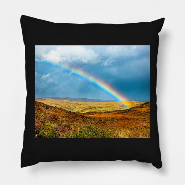 An Irish Rainbow Pillow by TTDean