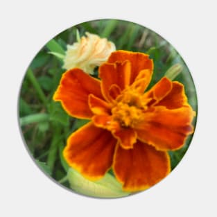 Rusty Orange Marigold Pin