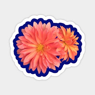 dahlias Magnet