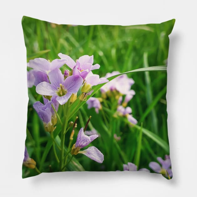 spring flowers meadow Pillow by psychoshadow