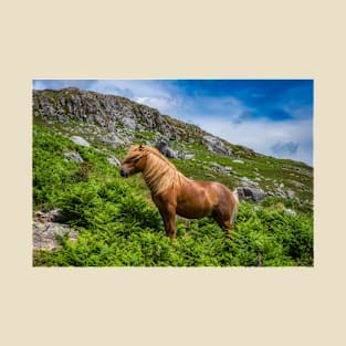 Welsh Mountain Pony T-Shirt