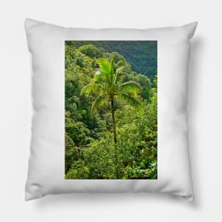 Iao Valley State Monument Study 3 Pillow