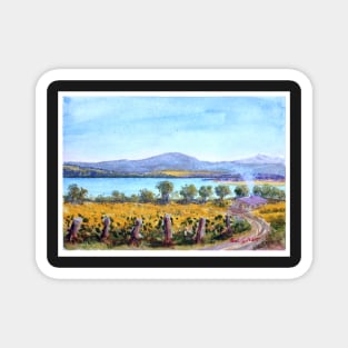 Tamar River Vineyard Tasmania - Watercolour Magnet