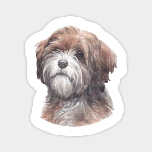 Tibetan Terrier Watercolor Art Magnet