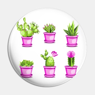 Cactuses and succulents Pin