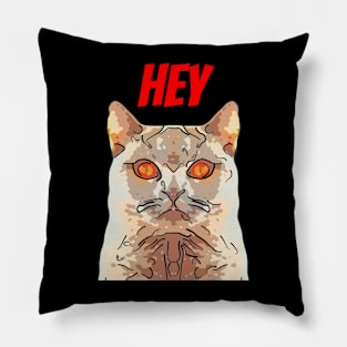 Scary Cat Says Hey Pillow