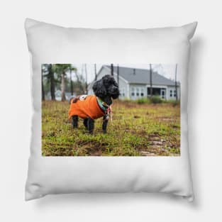 Proud Poodle Pillow