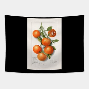 Citrus Tapestry